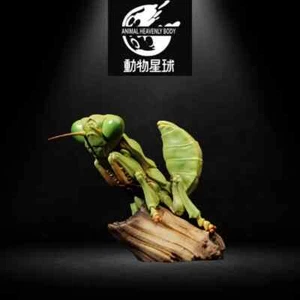 【En stock】Estatua de insecto mantis china de cuerpo celestial animal Tenodera Sinensis - Imagen 1 de 5