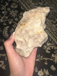 Versteinertes Holz  - Bild 1 von 2