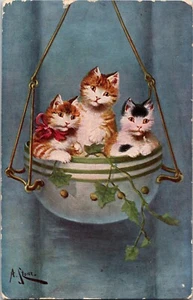 Gatitos en una maceta colgante artista firmado PM Montana, a Joliet postal - Imagen 1 de 2