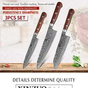 Xinzuo 3 Pcs Japanese 67 Layer Damascus VG10 Steel Chef Santoku UtilityKnife Set - Picture 1 of 4