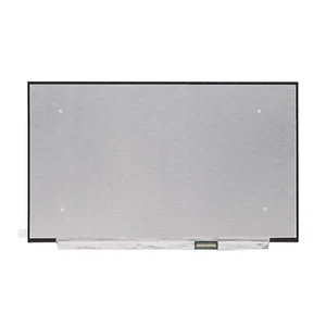 HP Spares SPS M24892-LQ2 16.1" LED FHD IPS 144hz AG Display Screen panel MATTE - Afbeelding 1 van 3