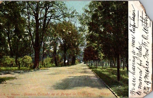 Postal Hermosa Calzada Parque Chapultepec Ciudad de México Indivisa Atrás Publicada - Imagen 1 de 3