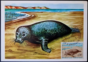 Monaco 1970 Sea Animals Marine Life - Seal Stamp - FIRST DAY POSTCARD - Picture 1 of 3