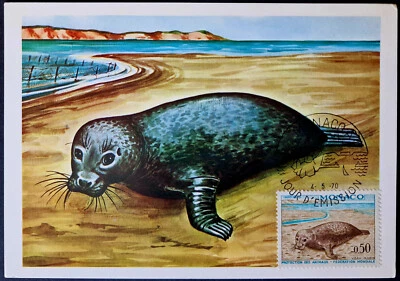 Monaco 1970 Sea Animals Marine Life - Seal Stamp - FIRST DAY POSTCARD - Image 1 of 3