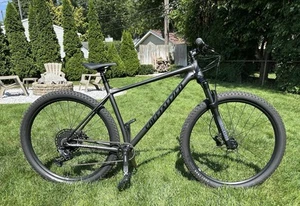 Specialized Chisel Hardtail XL - Picture 1 of 14