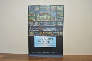Exploring Social Rights Between Theory and Practice - H/B 2007 (#40) - Imagen 1 de 6