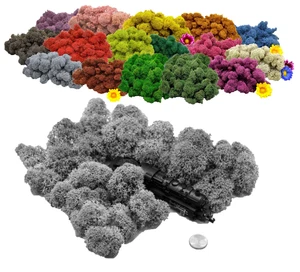 Muwse Islandmoos 25g Spur N Kopf gereinigt Diorama Landschaft Moos Auswahl