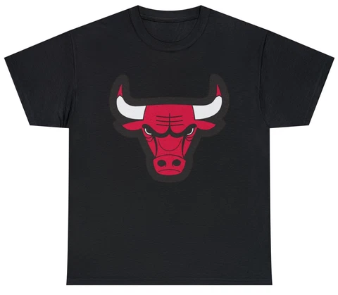 Chicago Bulls T Shirt Cover