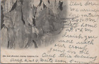 MR ALE Lost Blanket Caverns of Luray Virginia VA 1906 Postcard B3543.D1