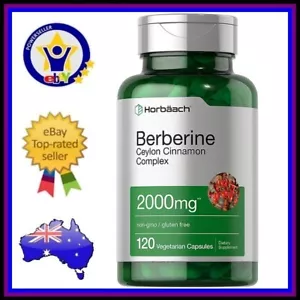 BERBERINE HCl + CEYLON CINNAMON 2000mg Cognitive Immune Metabolism 120 Capsules - Bild 1 von 8