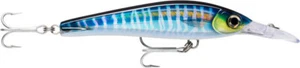 Rapala X-Rap Magnum Xtreme XRMAGXT160 Trolling Lure - Picture 1 of 14