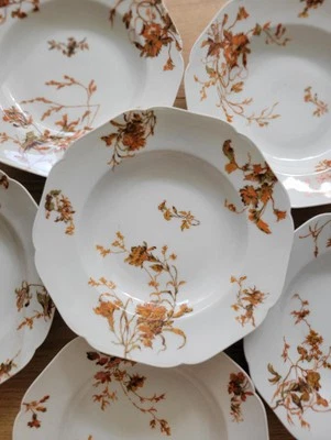 6 assiettes anciennes creuses en porcelaine David Havilland et Charles Depose - Photo 1/4