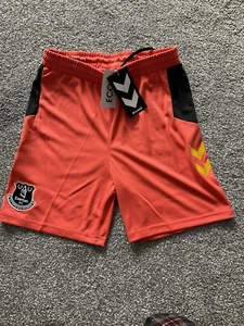 EVERTON KIDS HUMMEL SHORTS VARIOUS AGES ................ BNWT - Picture 1 of 7