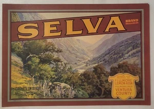LABEL Selva Lemons Fillmore California - Picture 1 of 1