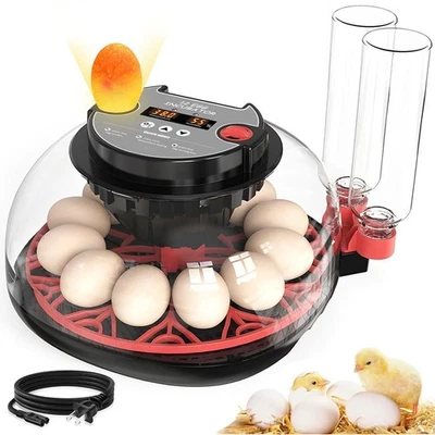 Incubadora de 12 huevos torneado automático codorniz pollito incubador para incubar huevos Foto 1 de 4