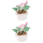  2pcs Miniature Potted Flower Decoration Doll House Plant Model Doll House