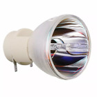 Hochwertige Helligkeit Projektor nackte Lampe Glühbirne für Viewsonic RLC-071 RLC071​