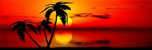 Vinyl Auto Rv Tropical Sunset Palm Trees Beach Graphics Decals Stickers 50" - Picture 1 of 1