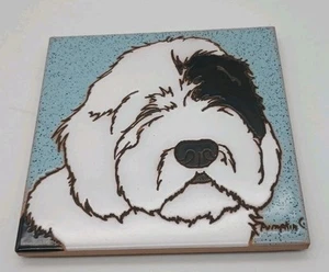 Sheepdog Tile Trivet Hand painted Pumpkin Inc Sheep Dog Shaggy Black White 6" - Picture 1 of 5