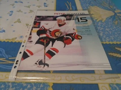 PETER SCHAEFER   POSTER COLOR    8 x 11 INCHES  OTTAWA SENATORS - Image 1 of 2