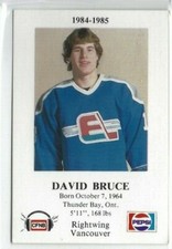 1984-85 Fredericton Express (AHL) David Bruce