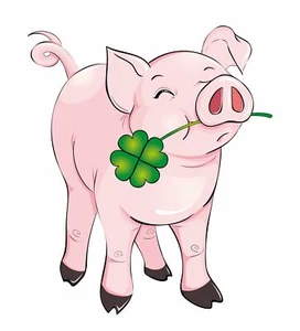Aufkleber Glücksschwein  90 x 70 mm   - Bild 1 von 1