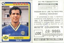 ROBERTO GALIA, VERONA - N.307 - FIGURE FOOTBALLERS PANINI 1986/87 - new