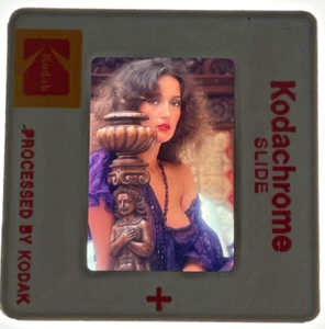 1980 Rare Slide Isabella Ardigo Pet Of The Year Bob Guccione Penthouse Magazine - Picture 1 of 1