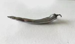 5 Chrome Pulls Cabinet Dresser Hardware Chili Pepper - Picture 1 of 2
