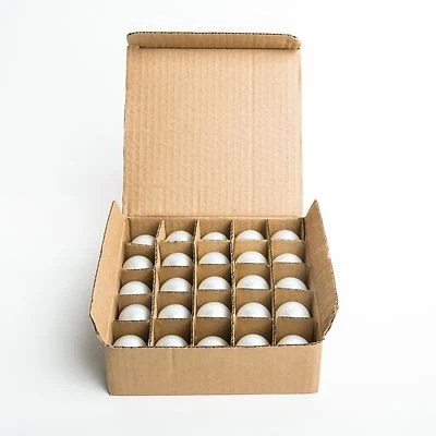 HOMETOWN EVOLUTION, INC. Box of 25 G30 Frosted White 1.2” 5W C7 E12 Base String Light Replacement Bulbs