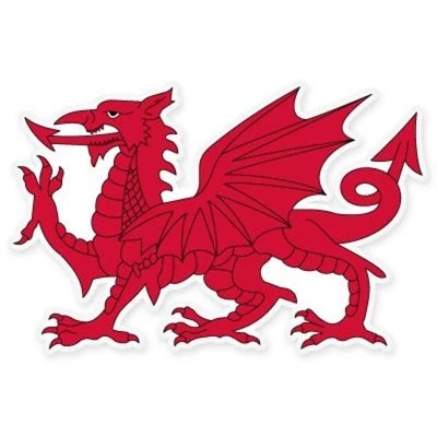 AK WALL ART Welsh Dragon Car Vinyl Sticker - SELECT SIZE