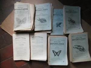 MISCELLANEA ENTOMOLOGICA. Revue entomologique internationale, 1896/1921. - Picture 1 of 12