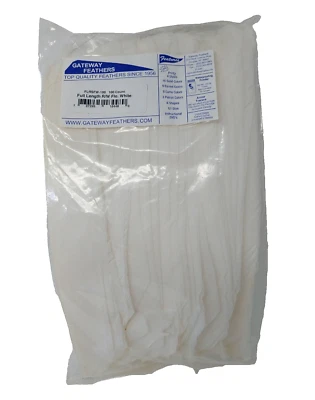 100 Pack Gateway Feathers FULL LENGTH Right Wing: Fluorescent White: FLRSFW-100 - Image 1 of 4