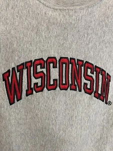 Vintage University Of Wisconsin Badgers Hoodie Sweatshirt Adult XS Gray - Picture 1 of 6