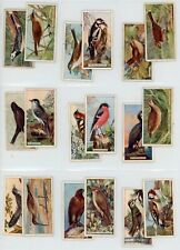 Tobacco British Birds Cut Out Cards 1923 Imperial #18510z