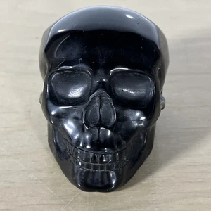 Natural Black Obsidian Carved Crystal Skull Realistic,Crystal Healing - Picture 1 of 8