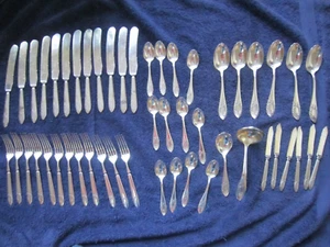 ROCKFORD S. P. CO. 12 PLACE SETTING PLUS ACCESSORY PIECES - FAIR OAKS PATTERN - Picture 1 of 14