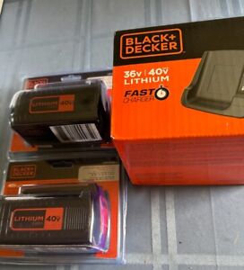 Two 40 volt Black and Decker lithium batteries  - One Fast Charger