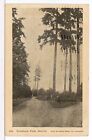 Woodland Park, Seattle, Washington 1901 - 1907 UDB Postcard