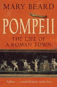 Pompeii: The Life of a Roman Town by Professor Mary Beard (English) Paperback Bo - Picture 1 of 1