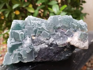 Dark Green Cubic FLUORITE Crystal Cluster Mineral Specimen Natural, 228g - Picture 1 of 14