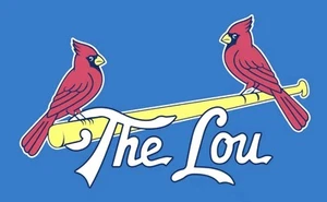ST. LOUIS CARDINALS-3’x5’ Deluxe bandera exterior-NUEVO-CITY CONNECT-EXCLUSIVO - Imagen 1 de 2