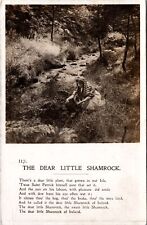 VINTAGE POSTCARD "THE DEAR LITTLE SHAMROCK" MINI-REAL PHOTO BAMFORTH c. 1901-7