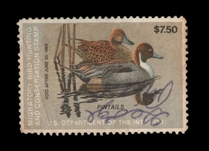 US 1983 DUCK STAMP Sc RW50 PINTAILS Signed, faulty - Picture 1 of 1