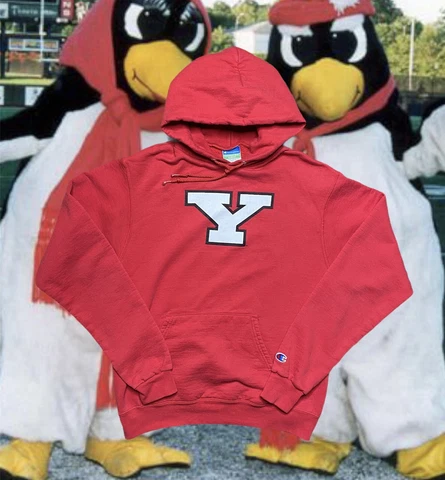 Youngstown State University Champion Hoodie Mens Small Red Preowned YSU Cover