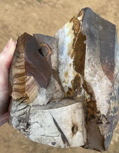 Imagen lapidaria de jaspe azul Biggs de 10,17 lb áspera de Biggs, Oregon - Imagen 1 de 5