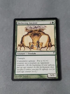Magic the Gathering MTG Coldsnap SHELTERING ANCIENT - Bild 1 von 2