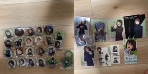 Shoko Ieiri Tarjeta Adhesiva Acrílico Soporte Insignia Set Japón #777 - Imagen 1 de 3