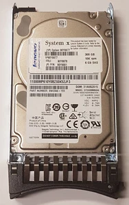 300 GB SAS Lenovo System X 90Y8877 ST300MM0006 10K 64MB 2.5" Hard Drive + Caddy - Picture 1 of 1