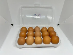 Plastic Egg Holder with Foldable Lid 15 pcs Storage Refrigerator Rack Container - Picture 1 of 12